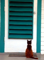 Patiently... patiently...