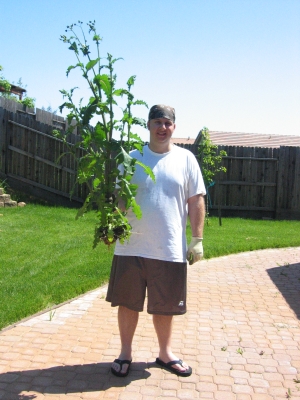 ... and thus was slain the the king of the weeds ...