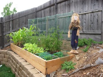 Scarecrow