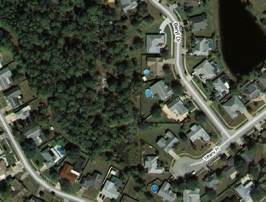 The Spot.