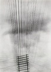 Wires.