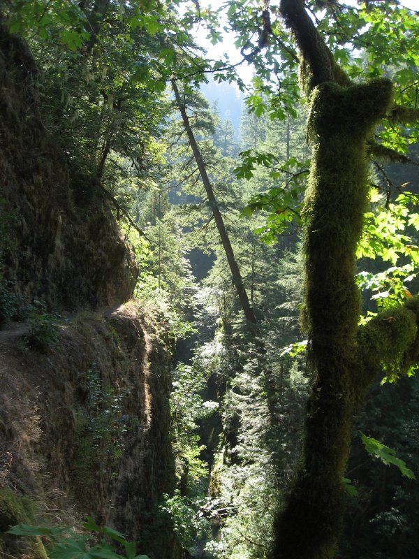 simg_1674