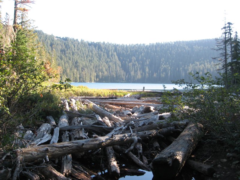 simg_1708