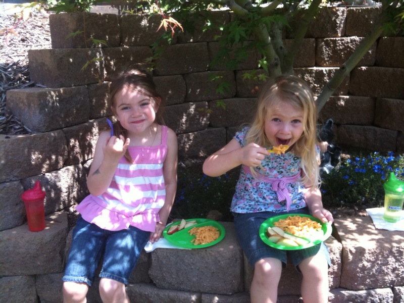 Picnic lunch