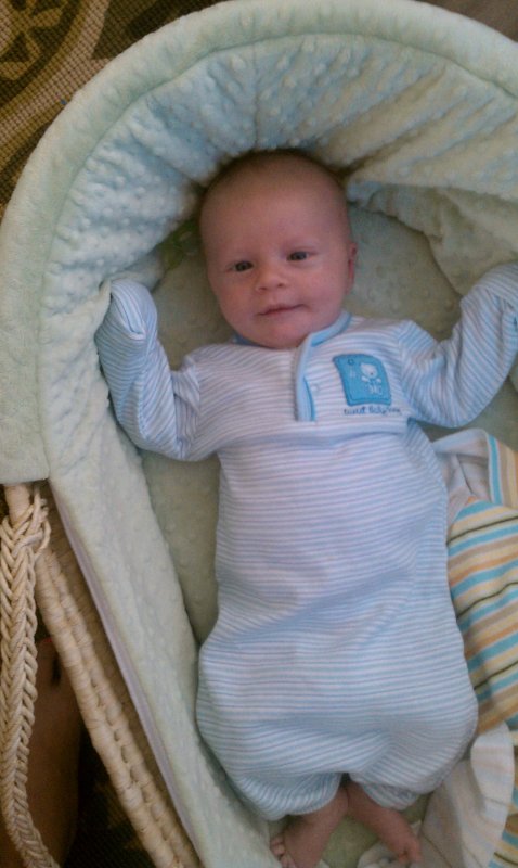 Moses