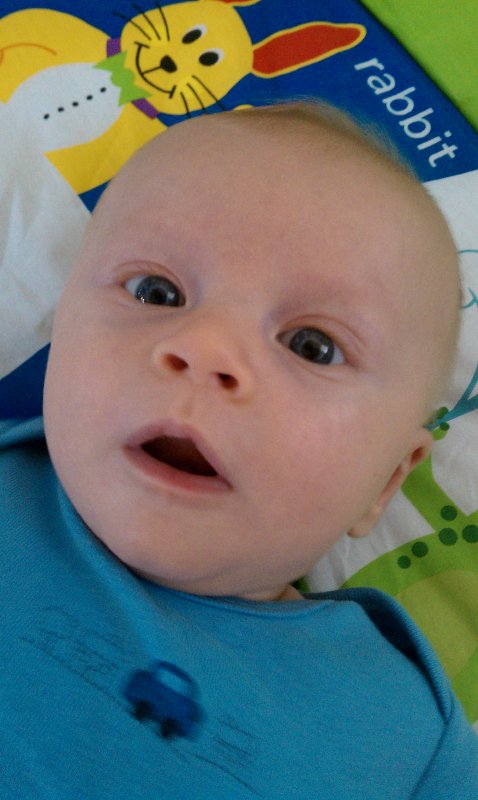 Cohen